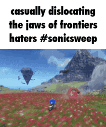 Sonic Frontiers Sonic Meme GIF