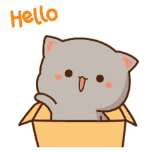 mochi mochi hello grey cat mochi mochi peach cat hello wave