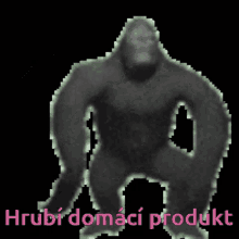a pixelated image of a gorilla with the words hrubi domaci produkt written below it