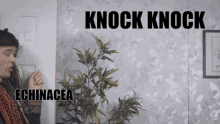 Foil Arms And Hog Knock Knock GIF - Foil Arms And Hog Knock Knock Party GIFs