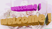 Welcome Memes GIF