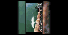 Delfines Dolphin GIF - Delfines Dolphin Simpsons GIFs