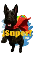 a black dog wearing a red cape with the words super 4 patas above it