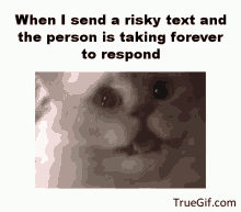 Risky Text Worried GIF - Risky Text Worried Forever To Respond GIFs