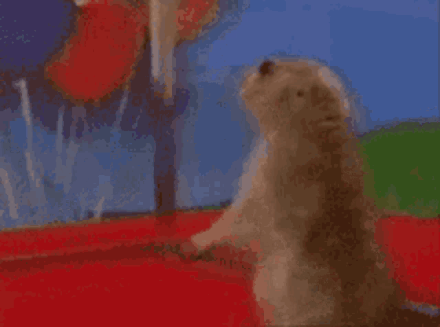 Dramatic Hamster Gif