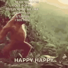 ape birthday