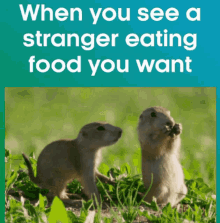 Eat Hungry GIF - Eat Hungry Stranger GIFs