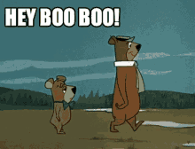 Hey Boo Boo Following GIF - Hey Boo Boo Following Bears GIFs