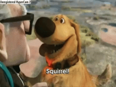 Squirrel Disney Up GIF - Squirrel Disney Up UP - Discover & Share GIFs