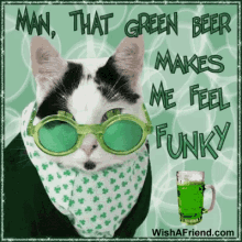 Green Beer Funny Cats GIF - Green Beer Funny Cats GIFs