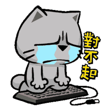 por favor desculpas cat cry sorry