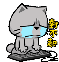 Por Favor Desculpas Cat Cry Sorry Sticker