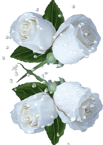 Glittering White Roses Sticker - Glittering White Roses White Roses Stickers