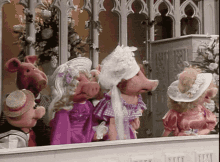 Muppet Show Muppets GIF - Muppet Show Muppets Wedding GIFs