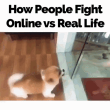 Bitch Fight Dogs GIF - Bitch Fight Dogs Online GIFs