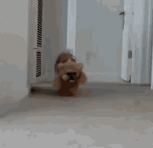 Teddy Bear GIF - Horror Puppy Creapy Running Teddy Bear GIFs