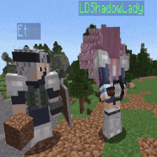 two minecraft characters are standing next to each other with the name ldshadow lady on the top