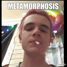 Metamorphosis Comrade Caleb Funny GIF