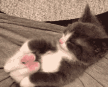 Stretch Kitten GIF - Stretch Kitten Cute GIFs