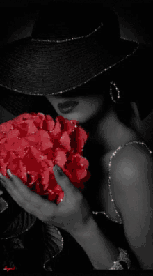 Red Roses GIF - Red Roses GIFs