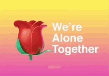 were alone together rose flower spin giphy