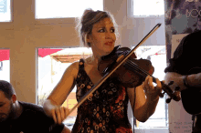 Claire Goldie Fiddle GIF - Claire Goldie Fiddle Folk GIFs