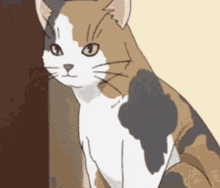 Nasuno Cat GIF - Nasuno Cat Anime GIFs