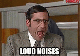 A character from the movie Anchorman yelling "loud noises"