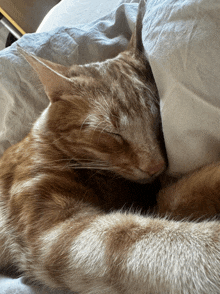 a close up of a cat sleeping on a pillow