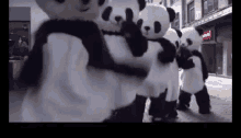 a group of panda bear mascots are hugging each other