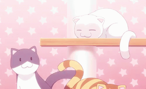 Anime Right Meow Funny Kawaii Cute Otaku Cat Kitty' Bandana | Spreadshirt