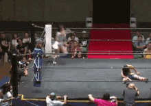 Riho Wrestler GIF - Riho Wrestler Wrestling GIFs