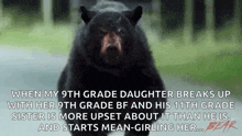 I Will Catch You Cocaine Bear GIF - I Will Catch You Cocaine Bear Come Here GIFs