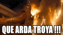 Troya Arda GIF - Troya Arda Meme GIFs