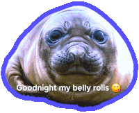 a seal with the words " goodnight my belly rolls " on it
