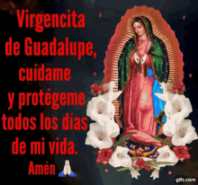Virgencita Guadalupe GIF - Virgencita Guadalupe Cuidame GIFs