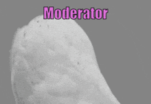 moderator shocked