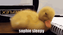 Sleep Sleepy GIF - Sleep Sleepy Duck GIFs