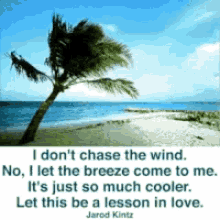 jarod klintz let this be a lesson in love dont chase the wind
