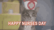 Happy Nurses Day Funny Animals GIF - Happy Nurses Day Nurses Day Happy Nurses GIFs