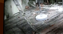 a ladder is sitting on top of a wooden deck next to a white umbrella base .