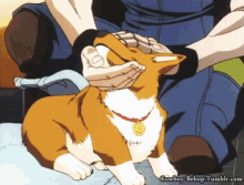 Dog Pet GIF - Dog Pet Head Massage GIFs