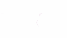 a white background with a blue and black pattern on it