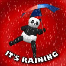 Its Raining Rainy Day GIF - Its Raining Rain Rainy Day GIFs