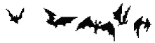 Halloween Bats GIF - Halloween Bats GIFs