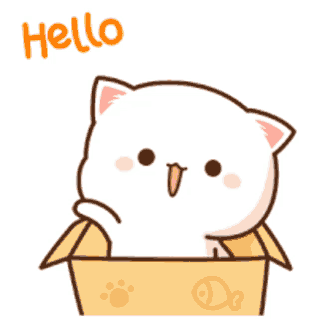 hola gatito 