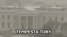 Tempesta Toby Neve Innevata Stati Uniti GIF - Toby Storm Snow Snowy GIFs