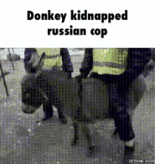 Donkey Kidnaps Russian Cop - Kidnap GIF - Kidnap Russia Russian GIFs