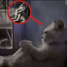 a cat is looking at a painting of a wolf in a red circle