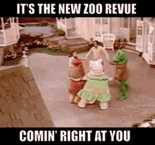 New Zoo Revue Comin Right At You GIF - New Zoo Revue Comin Right At You 70s GIFs
